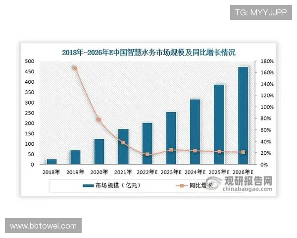 杭州排球队在联合会杯中的实力展现与未来发展潜力分析