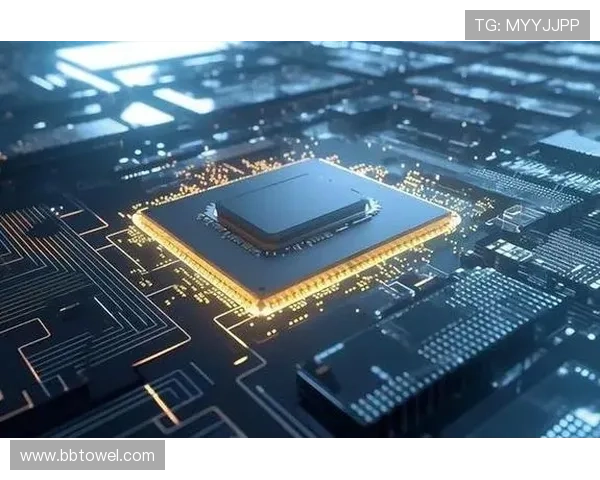 武汉排球队运营分析：成功经验与面临挑战的深度剖析